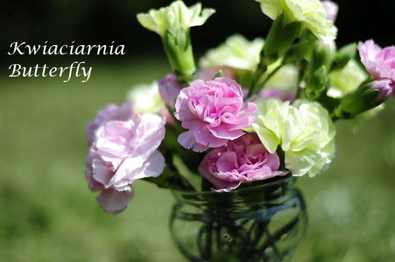 Kwiaciarnia